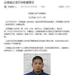张林最新爆料视频,事件背后惊人真相